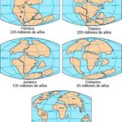Timeline: evolución da terra e do ser humano