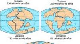 Timeline: evolución da terra e do ser humano