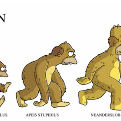 Timeline: Evolucion da terra e os seres vivos