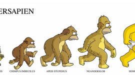 Timeline: Evolucion da terra e os seres vivos