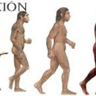 Timeline: Evolución de los seres vivos