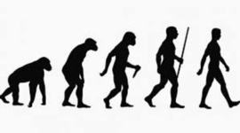 Timeline: evolución dos seres vivos