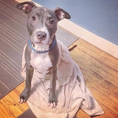 Timeline: Higher Cause