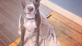 Timeline: Higher Cause