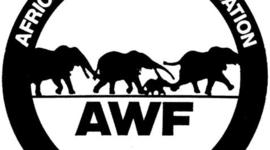 Timeline: African Wildlife Foundation