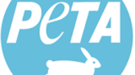 Timeline: PETA Organization Timeline