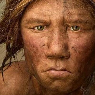 Timeline: edad media