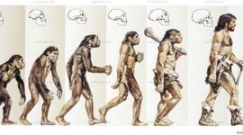 Timeline: Evolución del Hombre