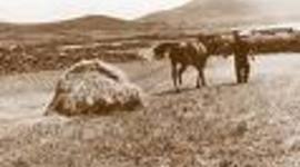 Timeline: Ireland, England and Spain 1930's