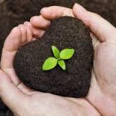 Timeline: LA AGROECOLOGIA