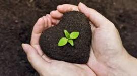 Timeline: LA AGROECOLOGIA