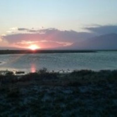 Timeline: Medios de almacenamiento