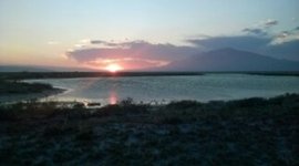 Timeline: Medios de almacenamiento