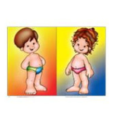 Timeline: DESARROLLO DEL CUERPO HUMANO