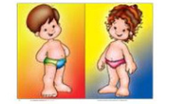 Timeline: DESARROLLO DEL CUERPO HUMANO