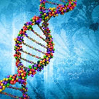 Timeline: AVANCES GENÉTICOS