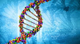 Timeline: AVANCES GENÉTICOS