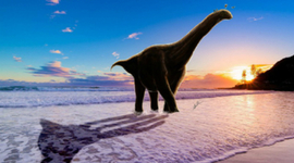 Timeline: La Historia De La Tierra