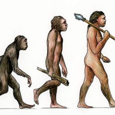 Timeline: A evolución