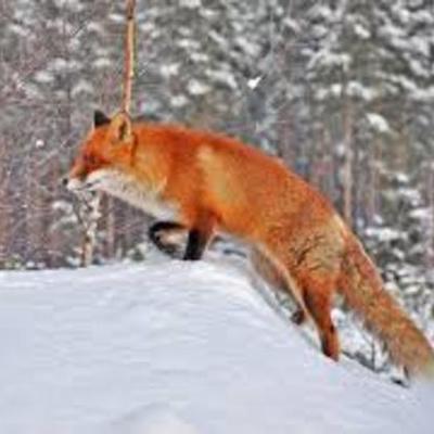 Timeline: Праздники года