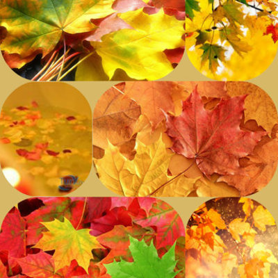 Timeline: Праздники года