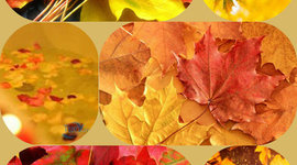 Timeline: Праздники года