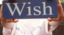 Timeline: Make a Wish