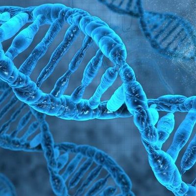 Timeline: AVANCES GENETICOS