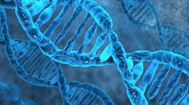 Timeline: AVANCES GENETICOS