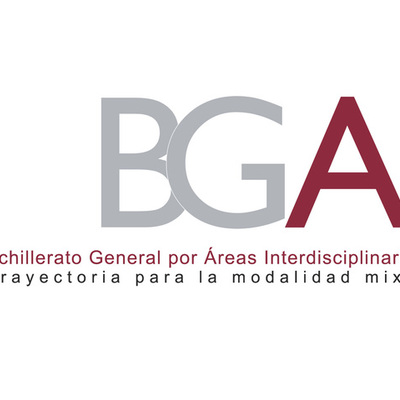 Timeline: Responsabilidades del asesor de BGAI.