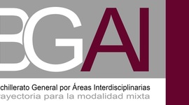 Timeline: Responsabilidades del Asesor del BGAI