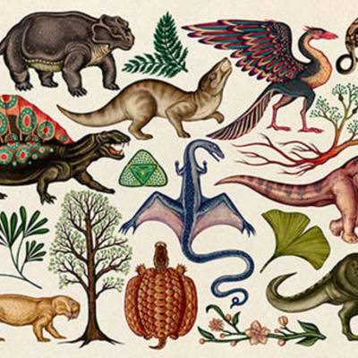 Timeline: Perspectiva Histórica de la Evolución