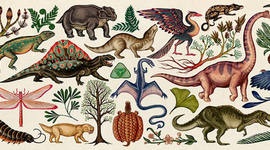 Timeline: Perspectiva Histórica de la Evolución