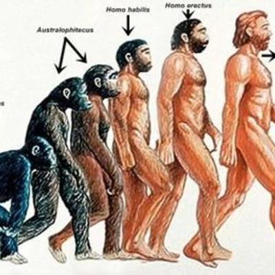 Timeline: Del Ábaco al PC