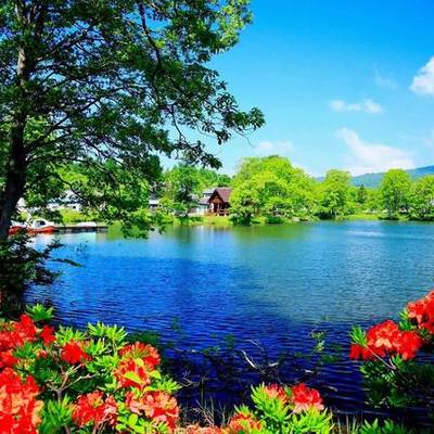 Timeline: EJEMPLO DE CLASE