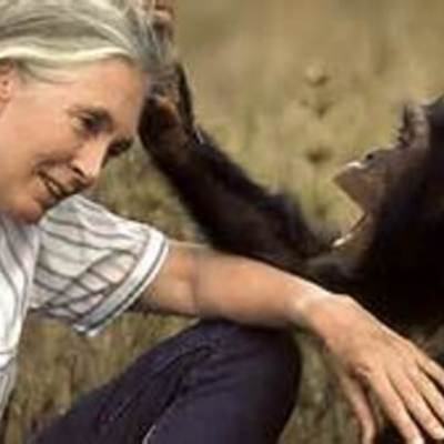Timeline: Jane Goodall