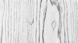 Timeline: Graduation Process Book Timeline