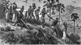 Timeline: Slaves Arrive in America