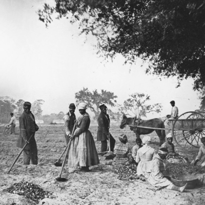 Timeline: African American Slave History Timeline