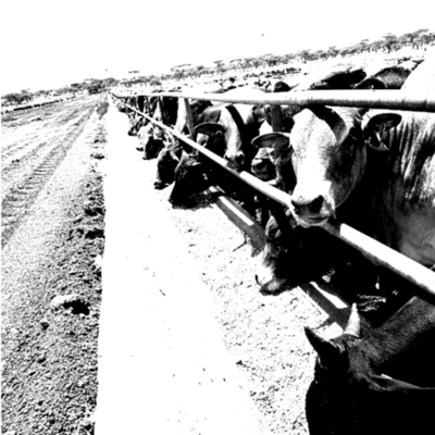 Timeline: history project dean