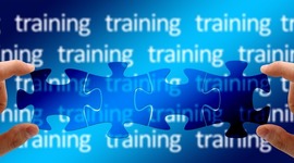 Timeline: Evolution Of Training