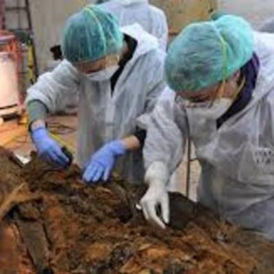 Timeline: Así reconstruimos la historia  de la Tierra