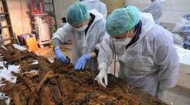 Timeline: Así reconstruimos la historia  de la Tierra