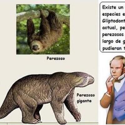 Timeline: SERES VIVOS Y SU ENTORNO