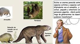 Timeline: SERES VIVOS Y SU ENTORNO