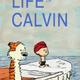 Life of calvin