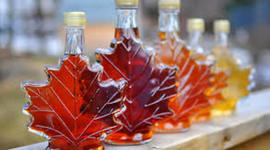 Timeline: GLS - Innovation Timeline