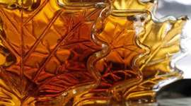 Timeline: GLS - Maple Syrup