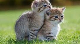 Timeline: Final exam texas