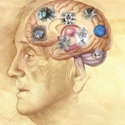 Timeline: Cronología